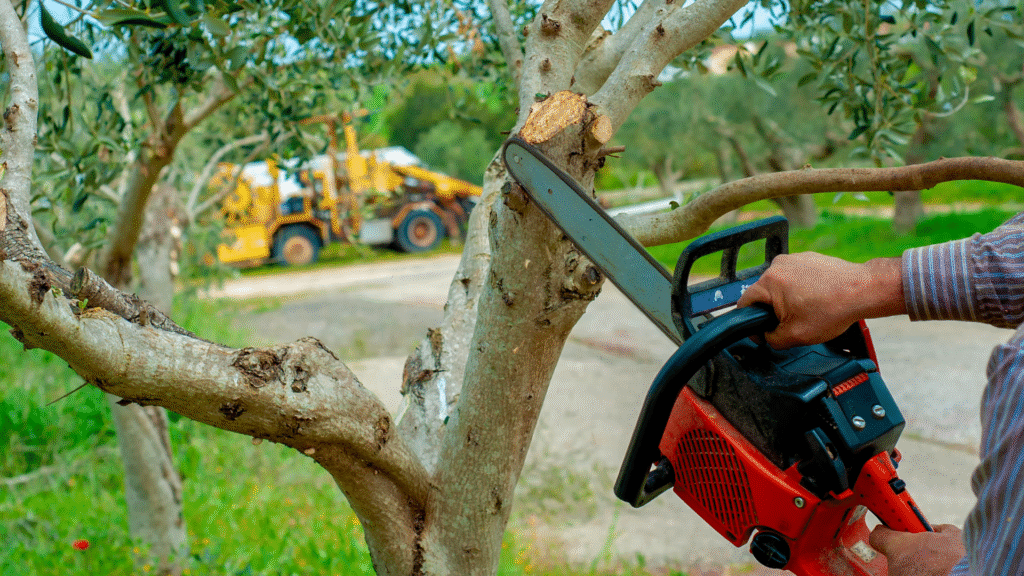 tree services tree services
